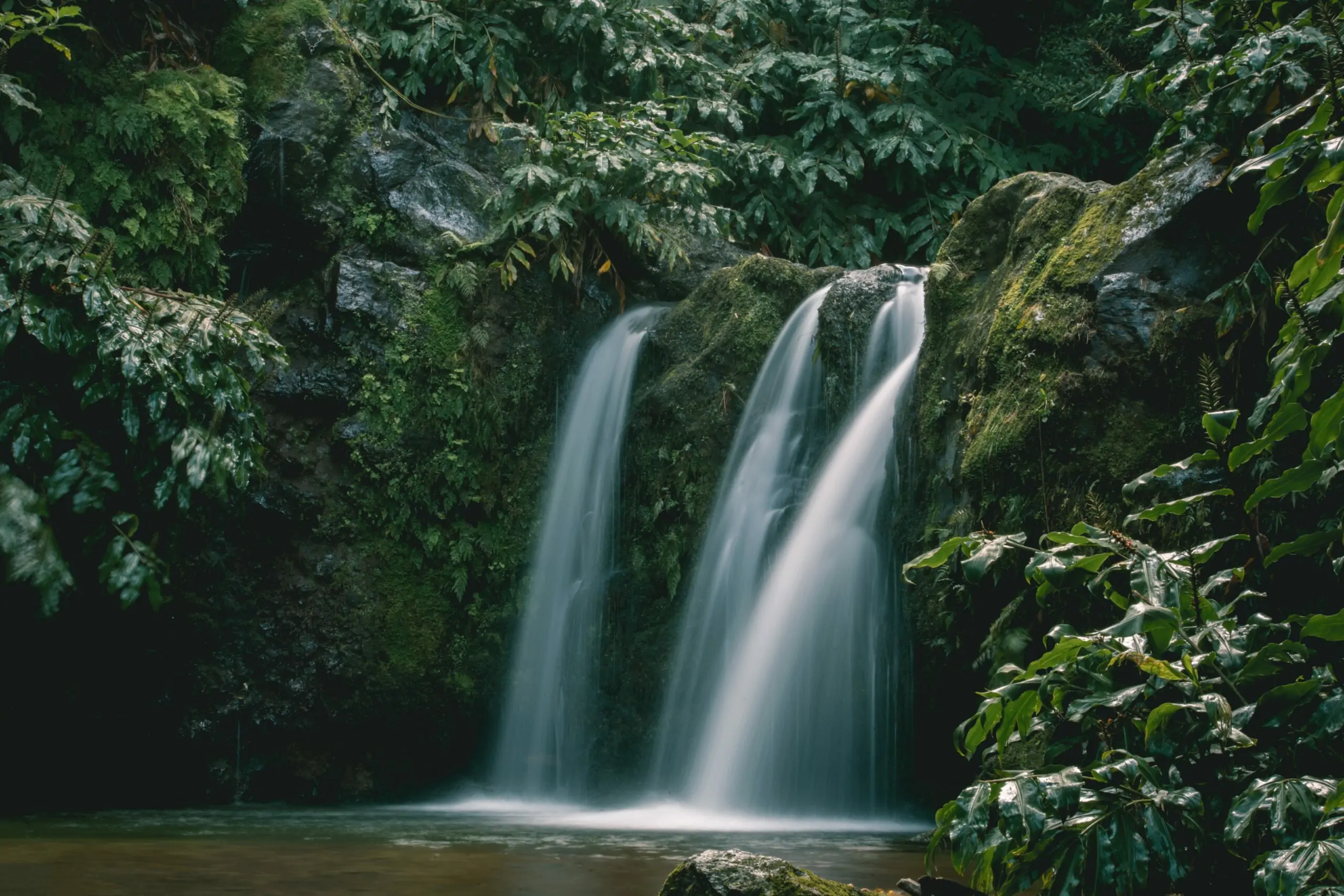 Waterval Sao Miguel Azoren