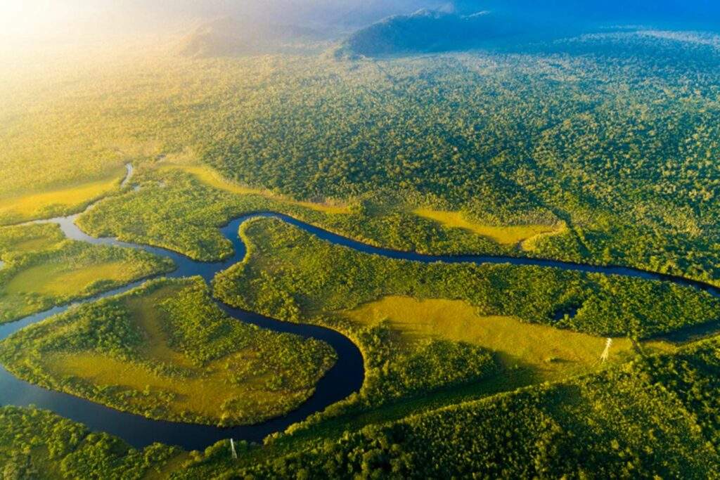 Zicht vanuit de lucht op het Amazone regenwoud en de rivier