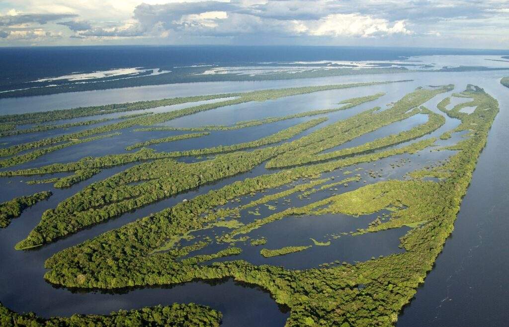 zicht op de Urubu rivier in Amazonas